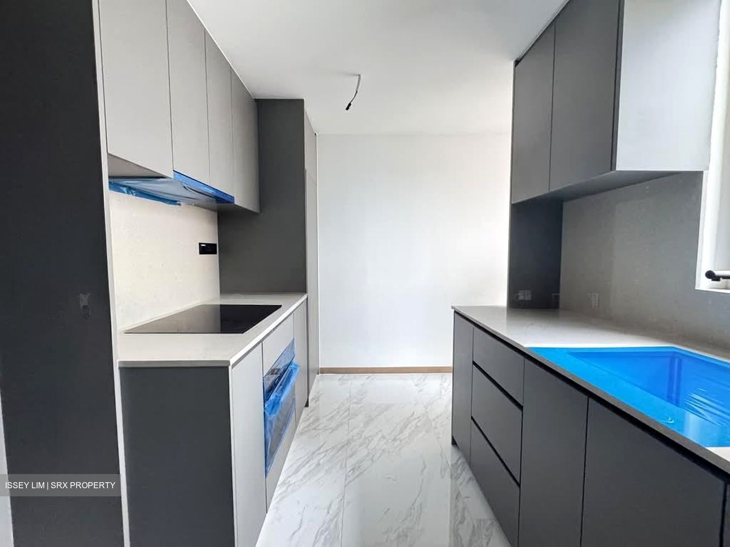 The Landmark (D3), Condominium #526246401